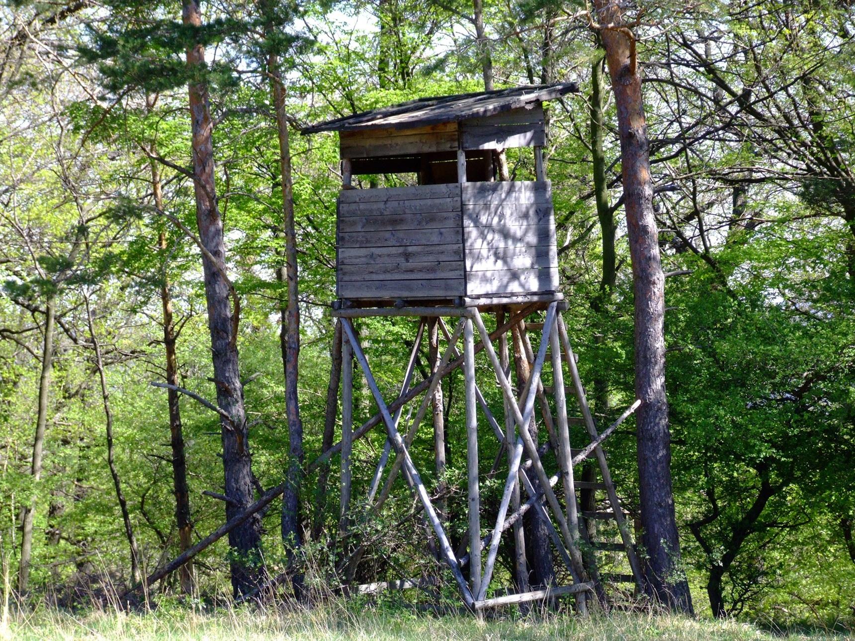 Hochsitz zwischen Bäumen im Wald | Wildvogelfutter 25 kg

